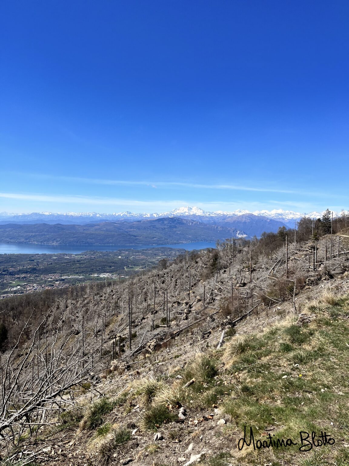 Vista su Lago Maggiore, Monte Rosa e alpi valdostane