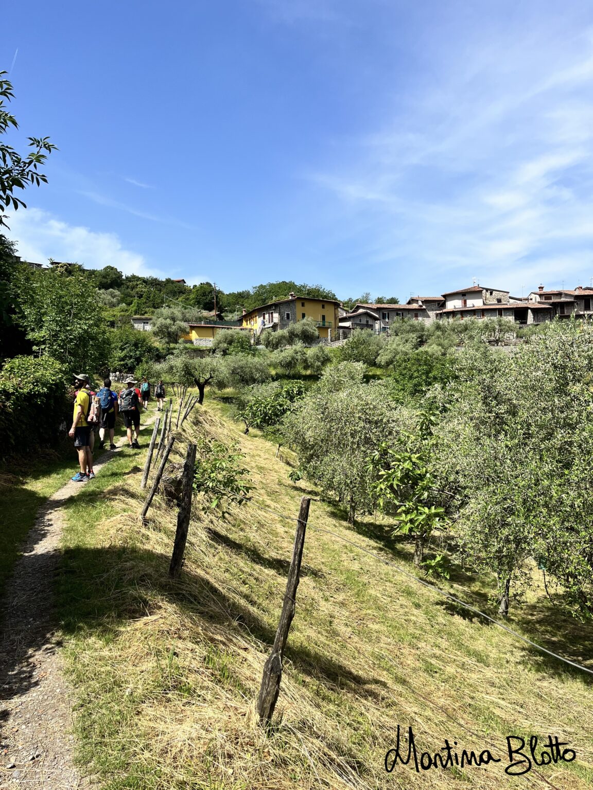 Sentiero verso Olzano
