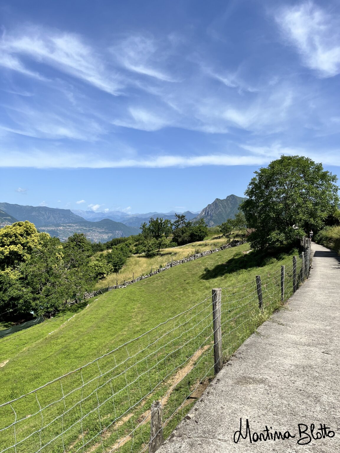 Strada in mezzo ai campi