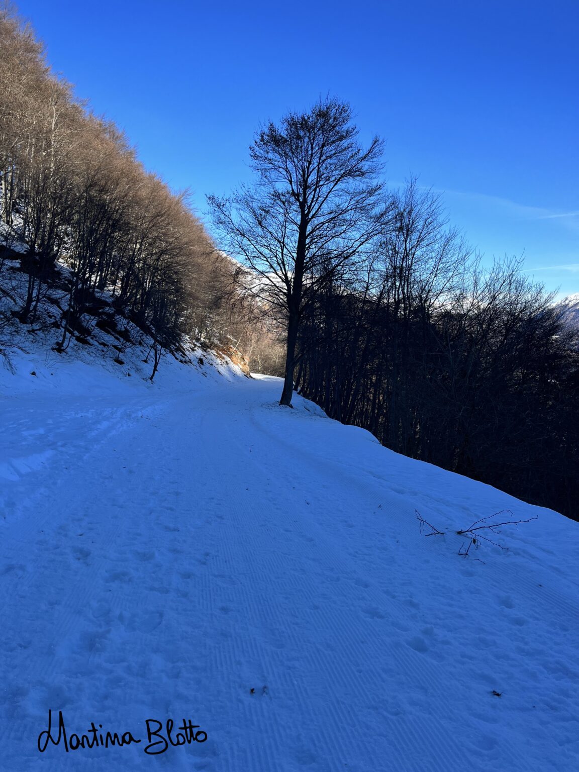 Pista