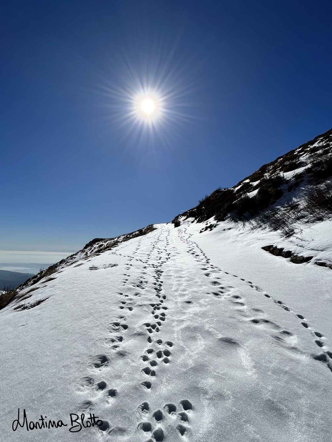 Verso Alpe Valnera