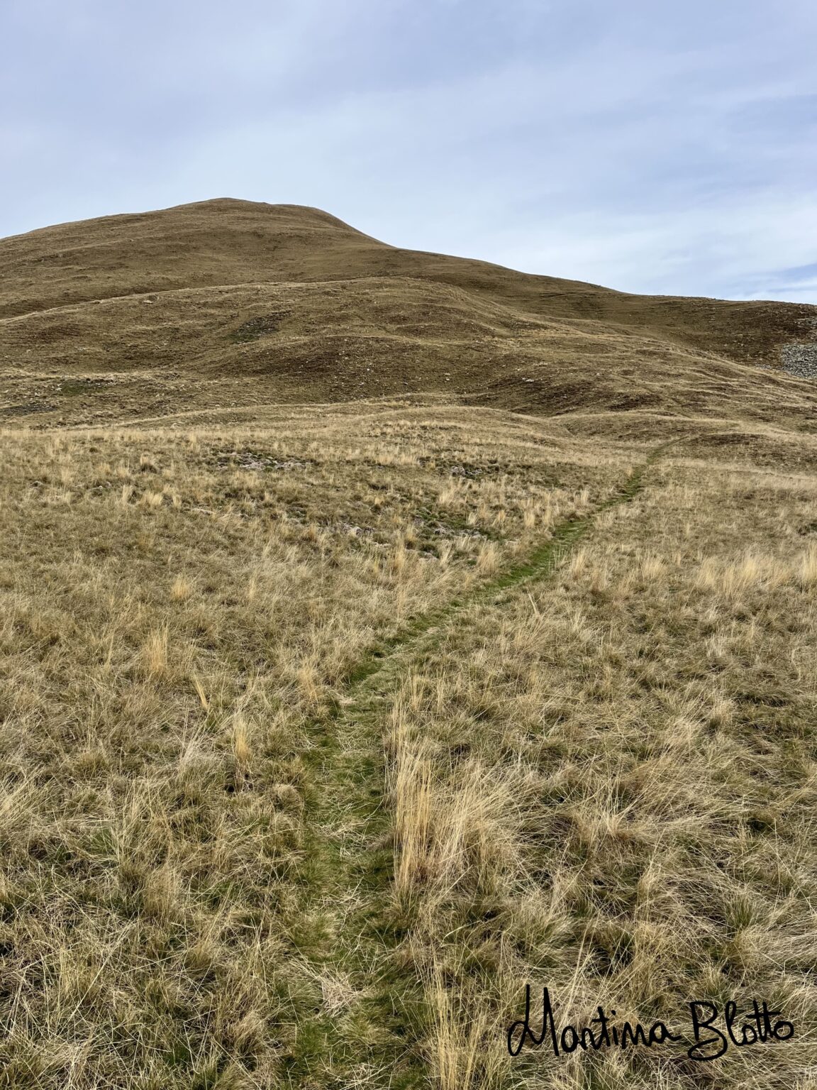 Sentiero tracciato nell'erba