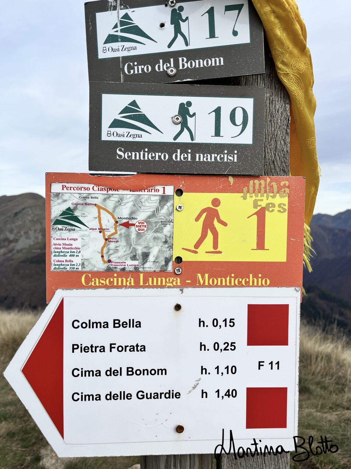 Indicazioni