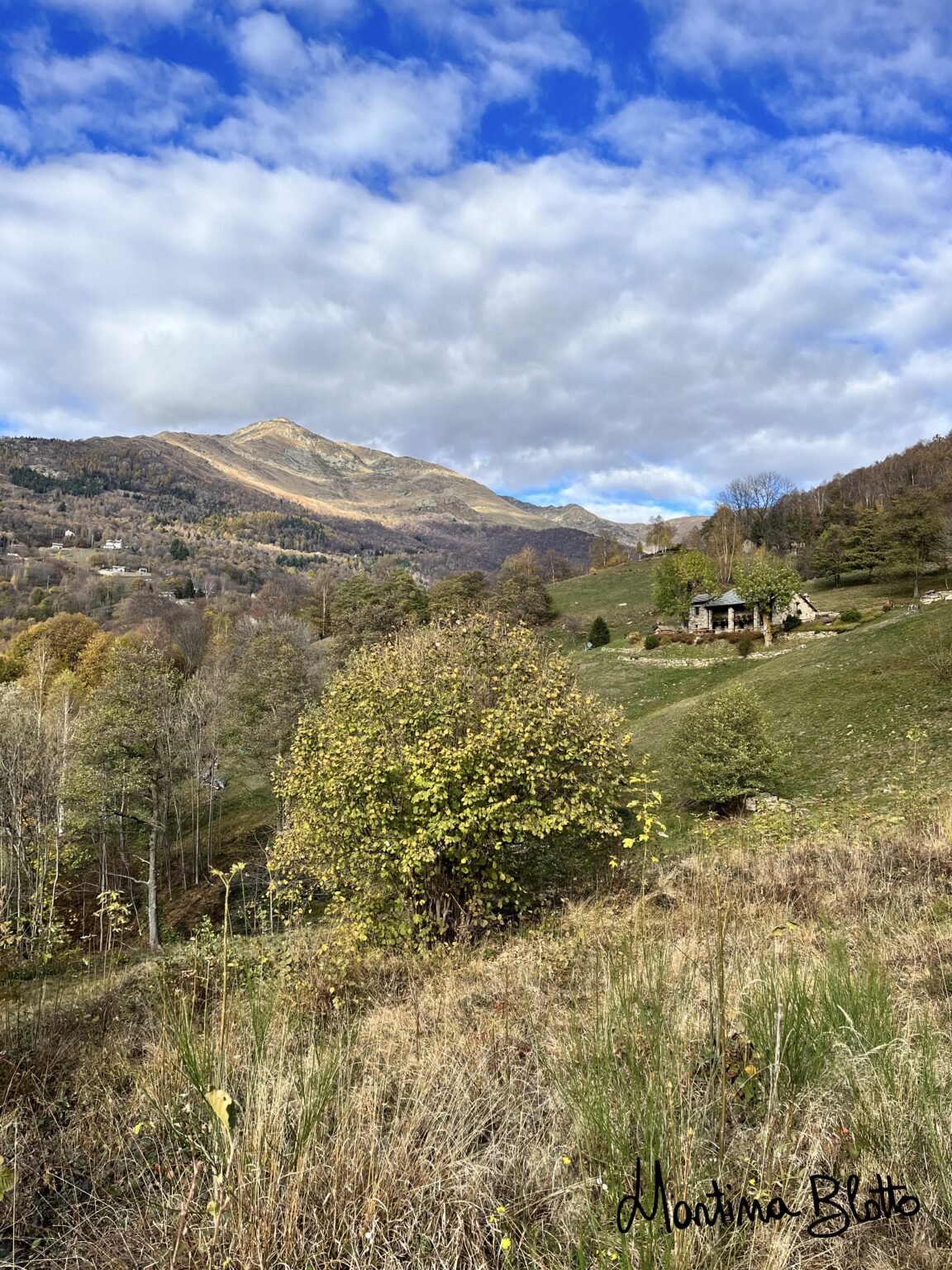 Baite nel verde