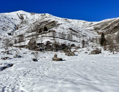 ALPE ARTIGNAGA: PASSEGGIATA SULLA NEVE