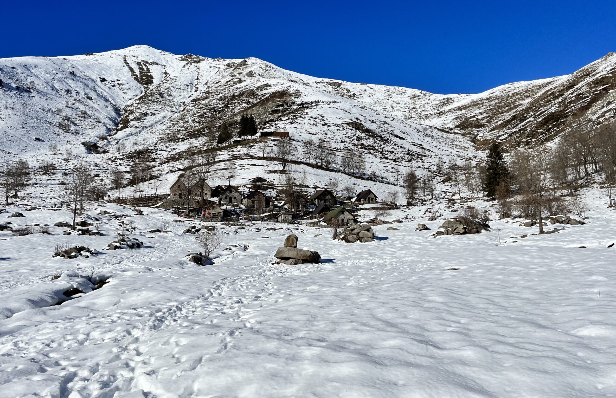 ALPE ARTIGNAGA: PASSEGGIATA SULLA NEVE