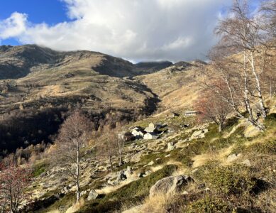 ALPE CAVANNA