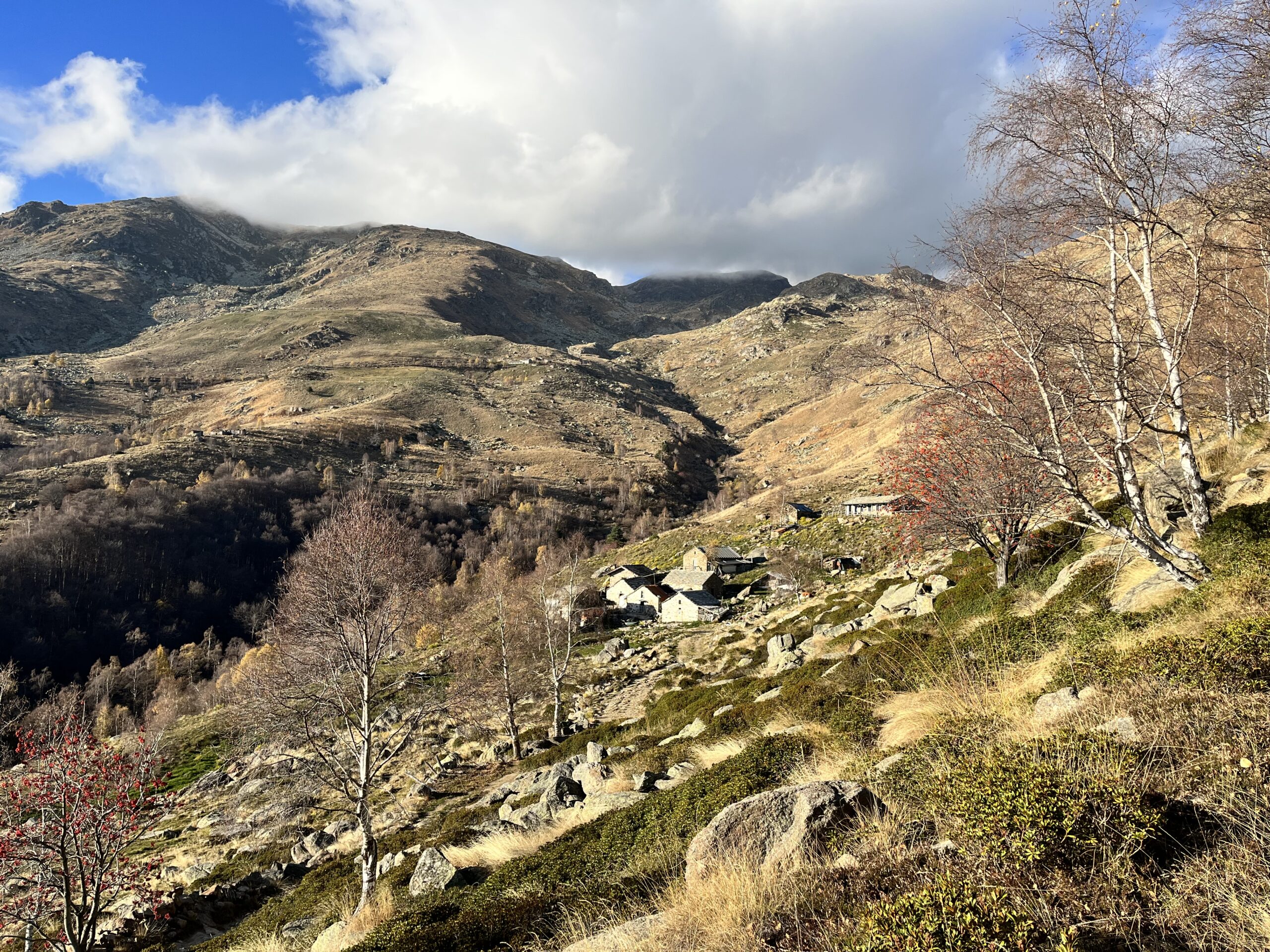 ALPE CAVANNA