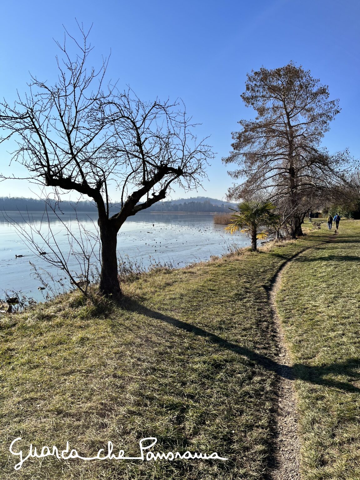 Lungolago Gavirate