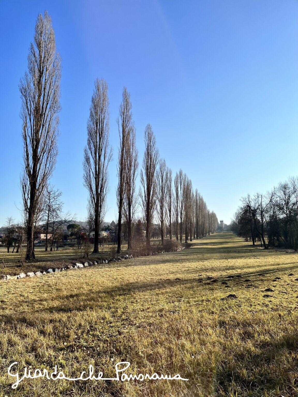 Bodio Lomnago