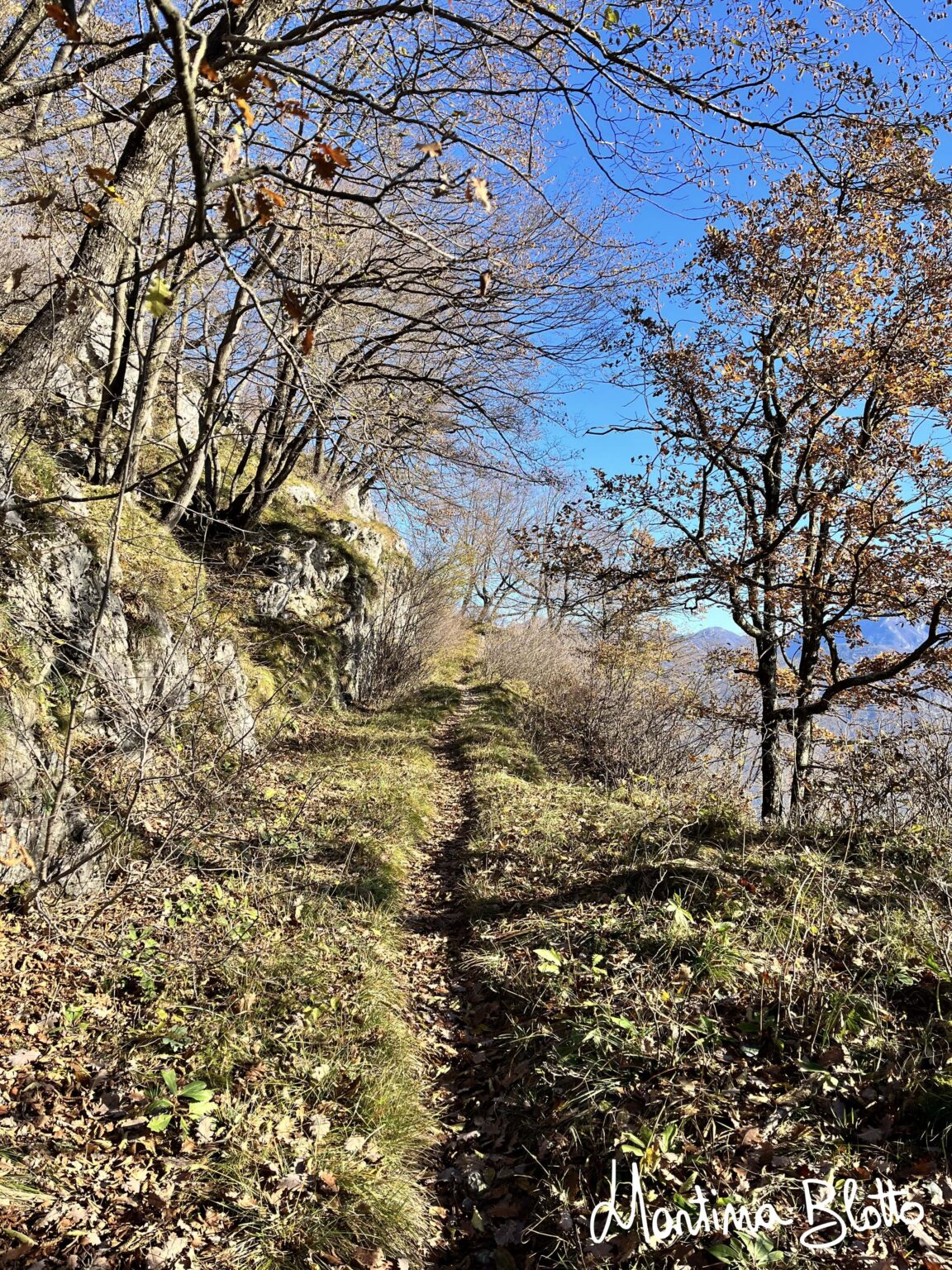 Sentiero per Sassa San Martino