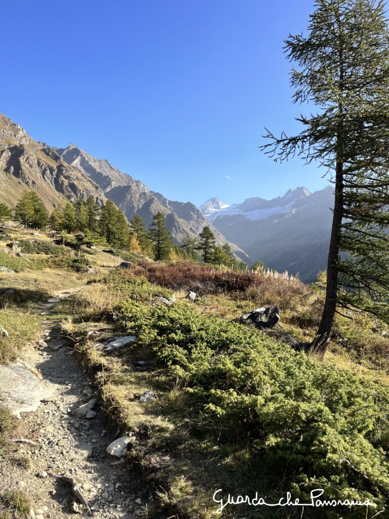 Sentiero tra i pascoli