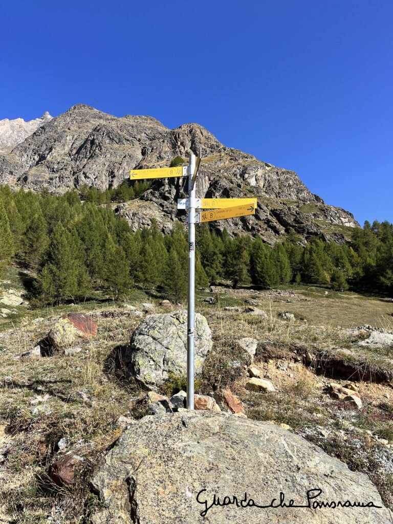 Indicazioni