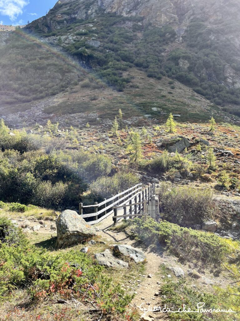 Ponte sul Buthier