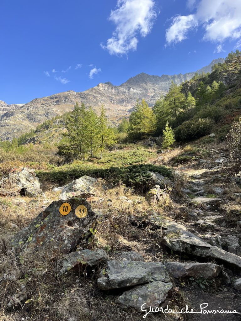 Segnaletica orizzontale