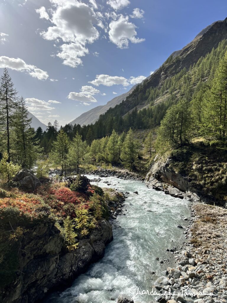 Torrente Buthier