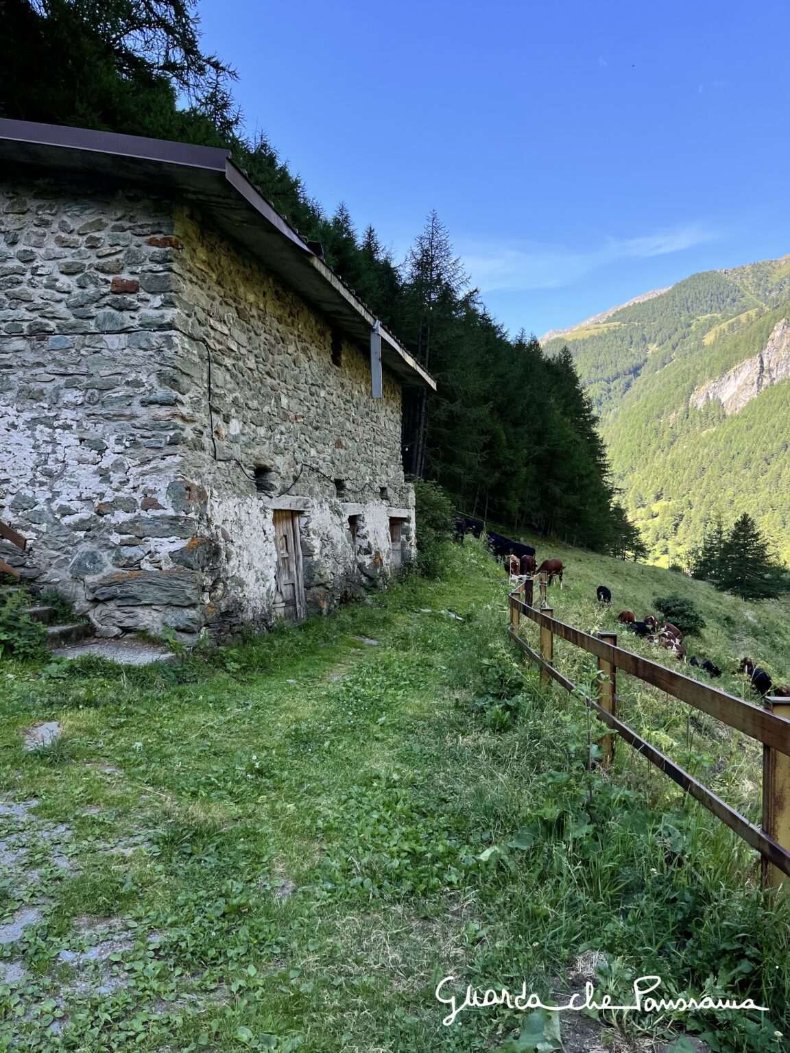 Alpe Crottes