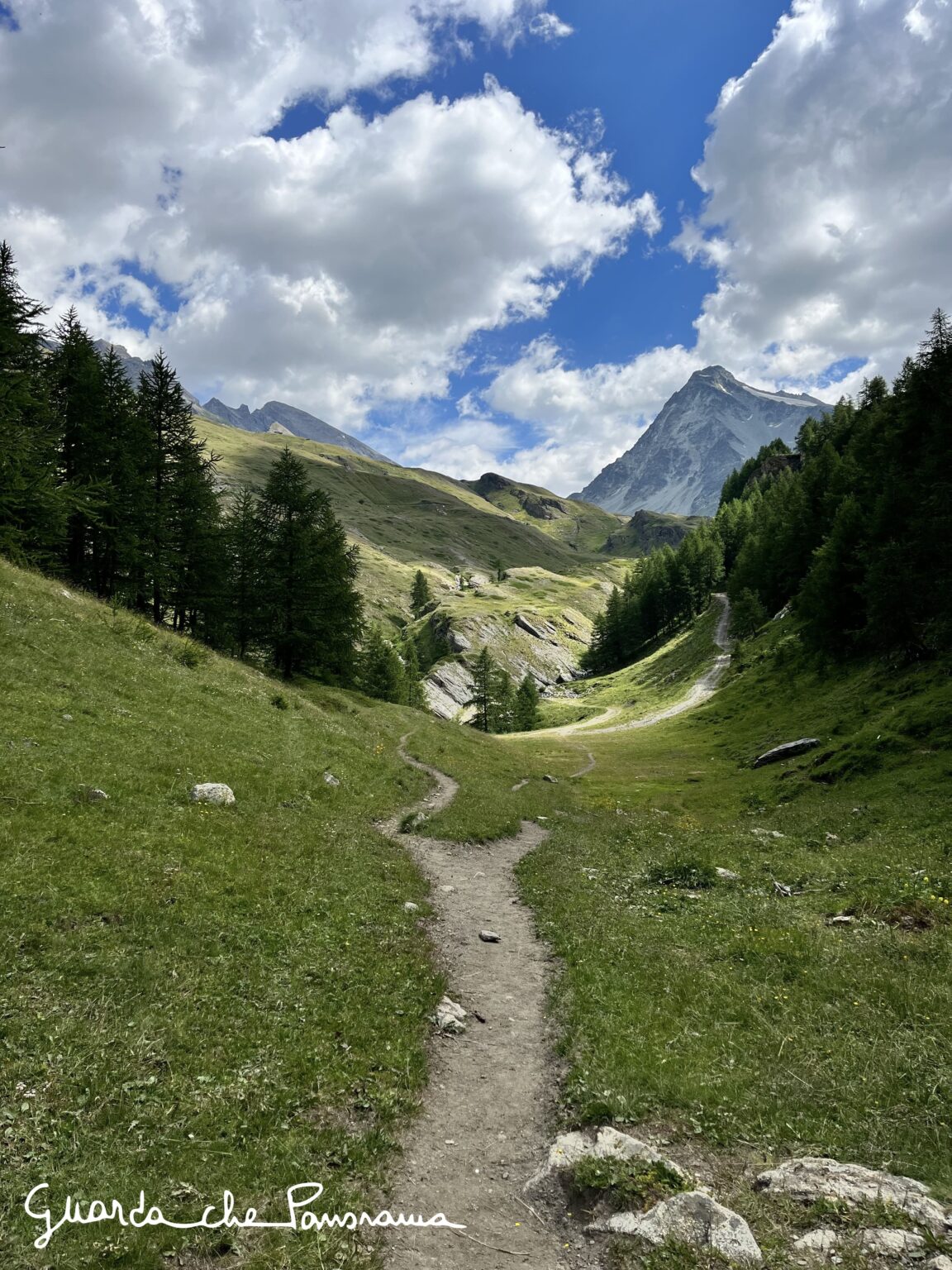 Vista dal colle (sullo sfondo Monte Gelé)