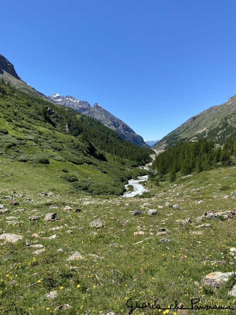 Panorama salendo a Gordzé (in estate)