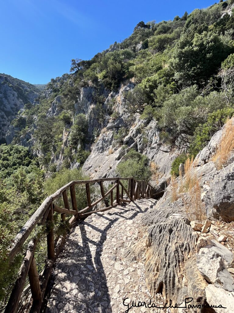 Scala per scendere a Cala Fuili