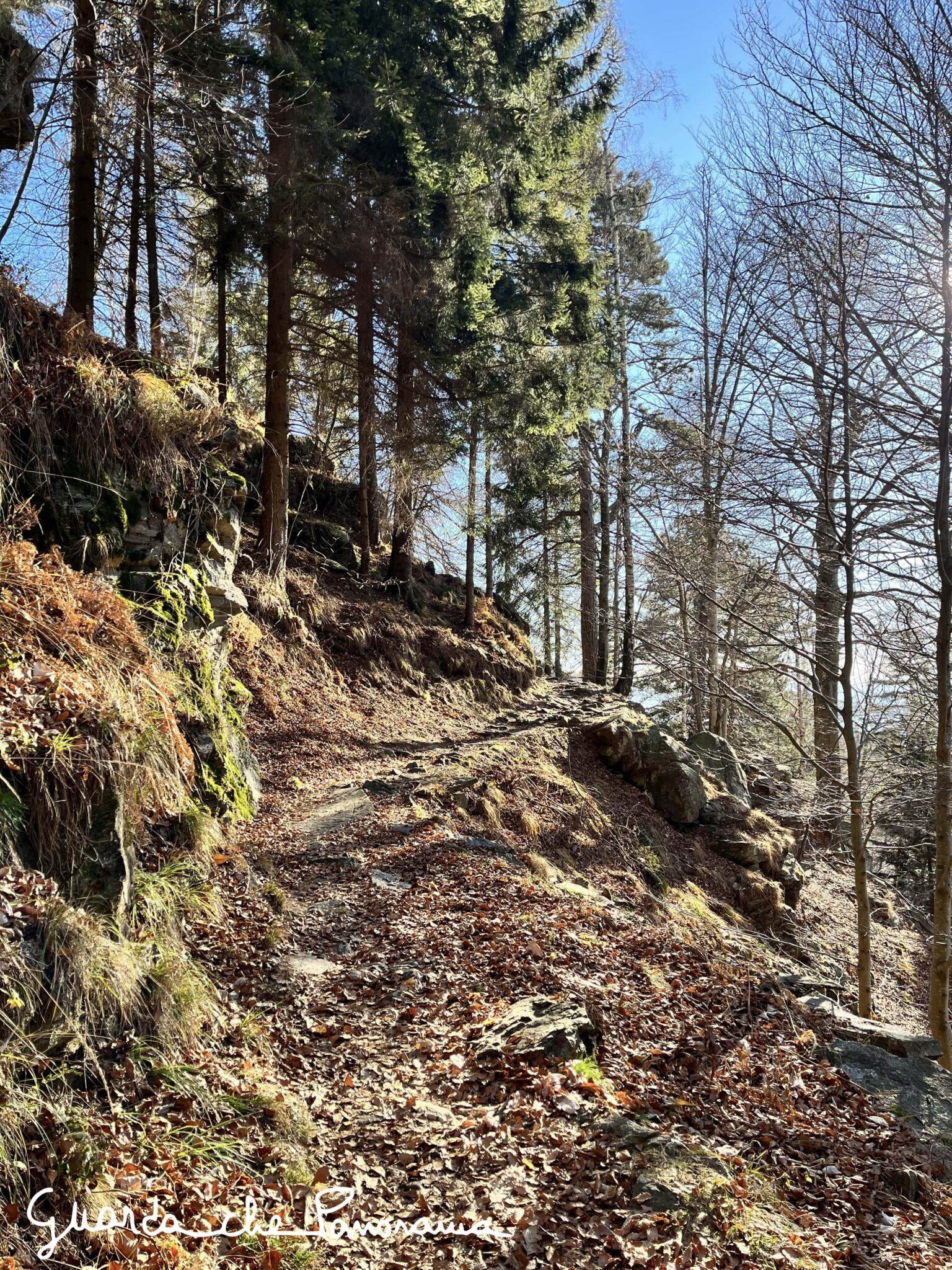 Sentiero sotto il bosco